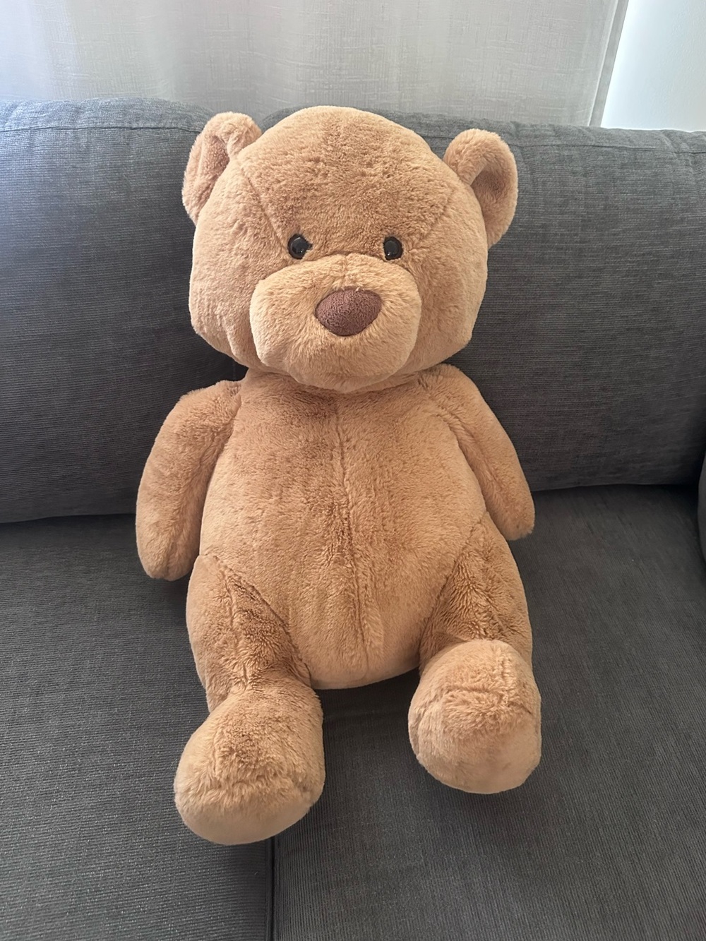 Animal Adventure XL Brady plush Bear